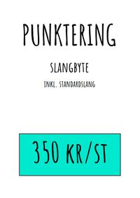 Punktering !!_1